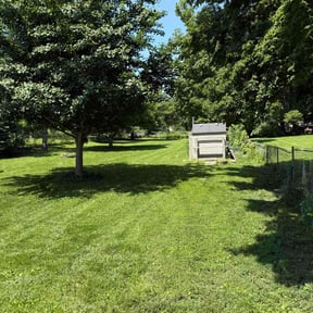 yard maintenance by KeyBoy Entertainment reviewed on August 19, 2025