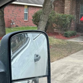 Bush Trimming by X'cellent Lawn Kare and Landscaping LLC reviewed on August 16, 2025