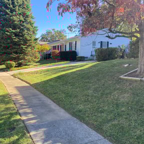 Leaf Removal by Pro-Green Landscaping Orlando, LLC reviewed on September 6, 2025