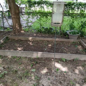 Flower Bed Weeding by GoGreen inc reviewed on August 21, 2025