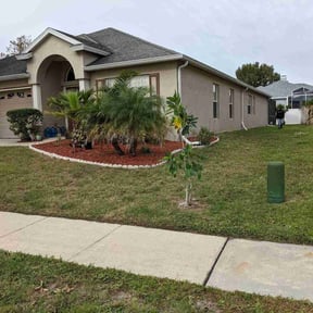 Bush Trimming by DMD LAWN SVC reviewed on June 5, 2025