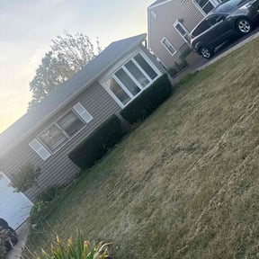 Bush Trimming by Boss Outdoor Service reviewed on November 23, 2025