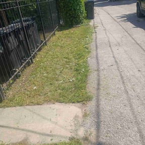 Leaf Removal by ATX Lawn Pros reviewed on September 8, 2025