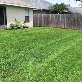 landscaping services by Rise Lawn Care reviewed on November 19, 2025
