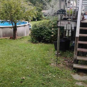 Flower Bed Weeding by Southern Style Lawn Care reviewed on October 20, 2025