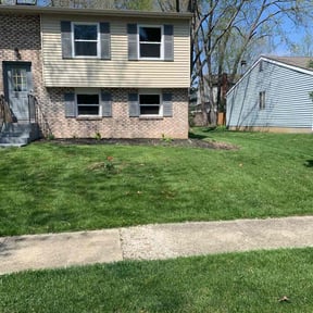lawn care services by Roberto Pena reviewed on February 23, 2024