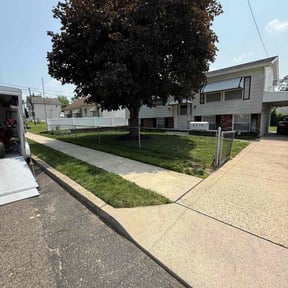 landscape maintenance by Whitfields lawn care reviewed on August 19, 2025