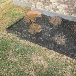 Flower Bed Weeding by Betts Greenery reviewed on July 3, 2022