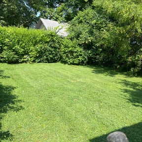 yard service by Ndebay Landscapping reviewed on August 19, 2025