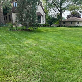 landscaping by Refugios reviewed on August 19, 2025