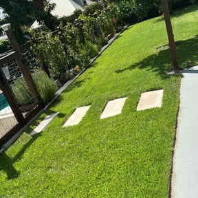 grass maintenance by Ledezma reviewed on May 16, 2024