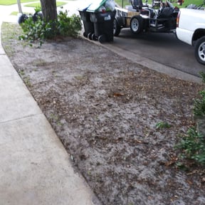 Leaf Removal by Swag Express reviewed on September 18, 2025