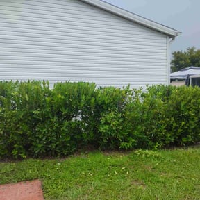 Bush Trimming by Garcia Landscape LLC reviewed on October 21, 2025