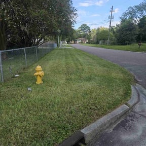 grass cutting by Yard Solutions reviewed on October 27, 2021
