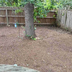 Leaf Removal by Mike's lawn Care reviewed on August 19, 2026
