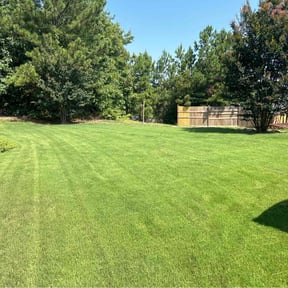 landscaping services by Andrew White reviewed on November 24, 2025