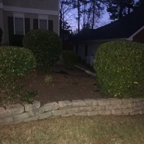 Bush Trimming by Kenny's professional lawn service reviewed on August 16, 2025