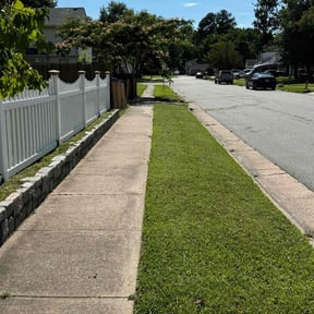 landscape maintenance by Sal's Landscape & Tree Service reviewed on August 18, 2025