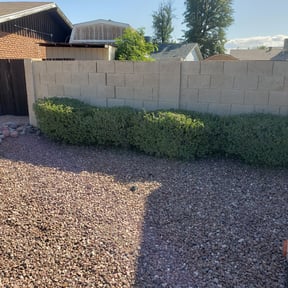 Bush Trimming by A&O reviewed on August 20, 2025