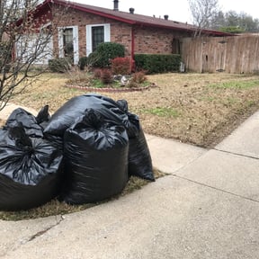 Leaf Removal by Corey's Cuts Lawncare LLC reviewed on August 16, 2025