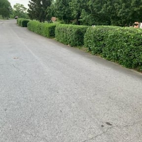 Bush Trimming by Johnny 2 Quick Lawn Care reviewed on August 18, 2025