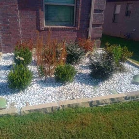 Flower Bed Weeding by Patton Lawn Care reviewed on November 7, 2025