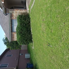 Bush Trimming by LaserEdge Mowing reviewed on August 16, 2025