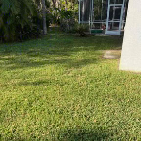 Leaf Removal by Fix-N-Folks, LLC reviewed on September 30, 2023