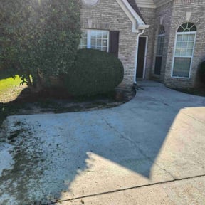 Bush Trimming by J&M Landscaping reviewed on August 18, 2025