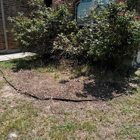 Bush Trimming by BLC and contracting llc reviewed on August 18, 2025