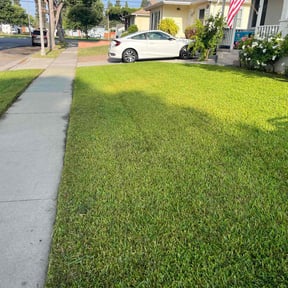 yard service by Forever Green FG LLC reviewed on August 21, 2025