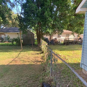 Bush Trimming by PICKNEY FULL SERVICE reviewed on August 16, 2025
