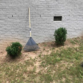 Bush Trimming by GT Custom Renovations LLC reviewed on August 29, 2023