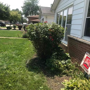Bush Trimming by Sonia's Lawncare reviewed on August 18, 2025