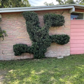 Bush Trimming by GC Lawn Care & Landscaping Services reviewed on August 18, 2025