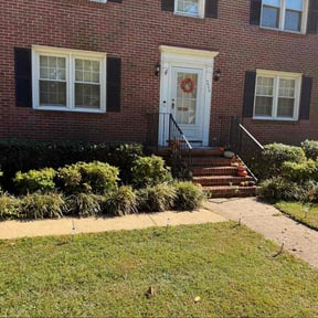 Bush Trimming by Delgado landscaping reviewed on November 7, 2025