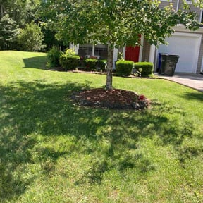 landscaping services by Tidewater Lawn Solutions, LLC reviewed on August 16, 2025