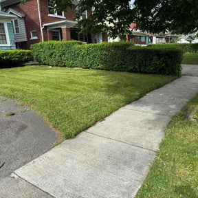 turf maintenance by Texas Services SA reviewed on November 9, 2017