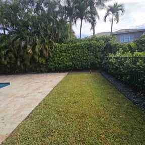 lawn maintenance by Soto landscape reviewed on July 21, 2025