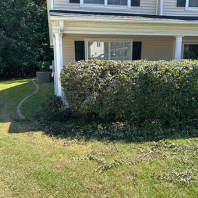 Bush Trimming by Greenstate Landscaping LLC reviewed on October 23, 2025