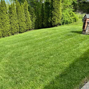 residential landscaping by F&M LAWNCARE reviewed on August 15, 2025