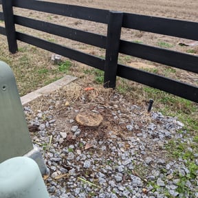 Bush Trimming by N&J Lawn Care reviewed on August 17, 2025