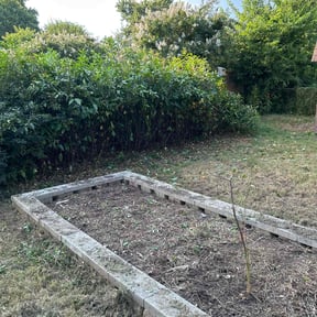 Bush Trimming by David’s Landscaping reviewed on May 27, 2025