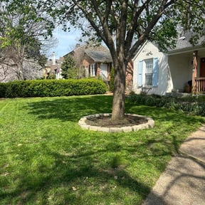 yard work by Easy Way Services reviewed on August 16, 2025