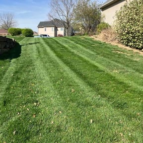 yard service by Latre’s lawn maintenance LLC reviewed on August 18, 2025