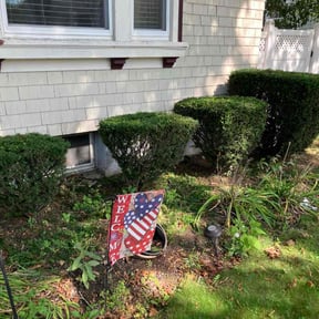 Bush Trimming by El Amigo Landscaping reviewed on August 3, 2025