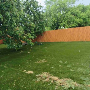 Leaf Removal by J & K Lawncare Specialist LLC reviewed on August 18, 2025