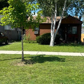 yard service by Ultra plus service LLC reviewed on August 20, 2025