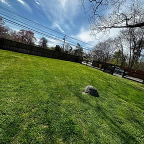 grass cutting by Sj lawn care reviewed on April 30, 2024