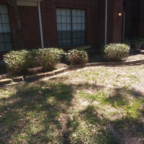 Bush Trimming by Maintenance Unlimited reviewed on August 20, 2025